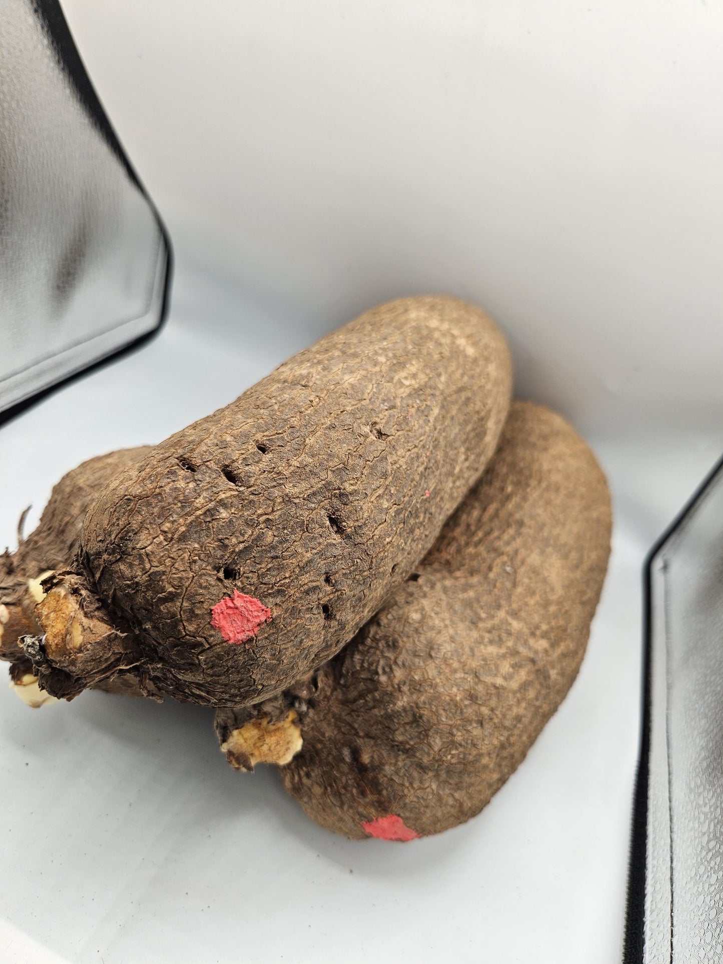 Yam (1 tuber)