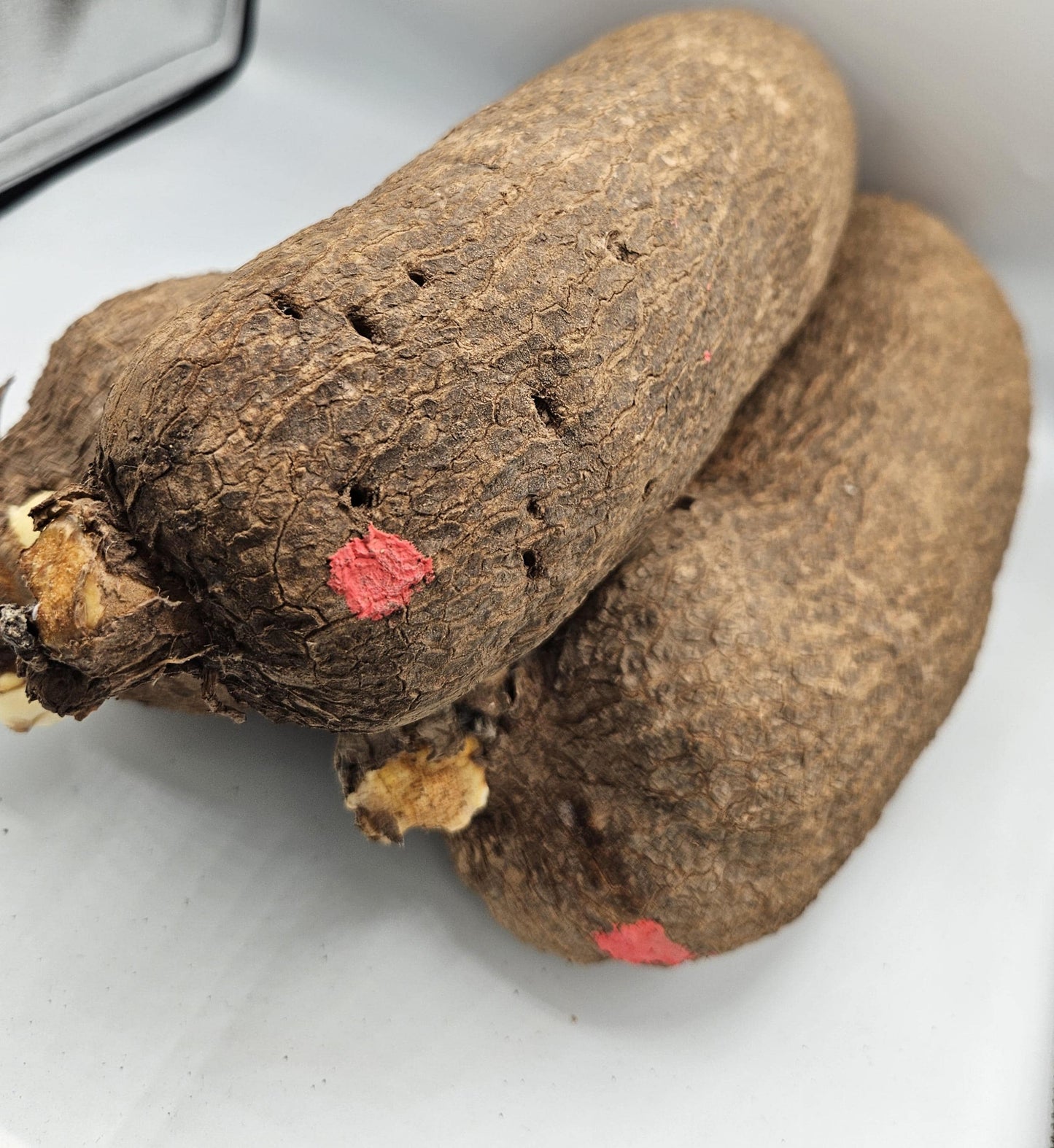Yam (1 tuber)