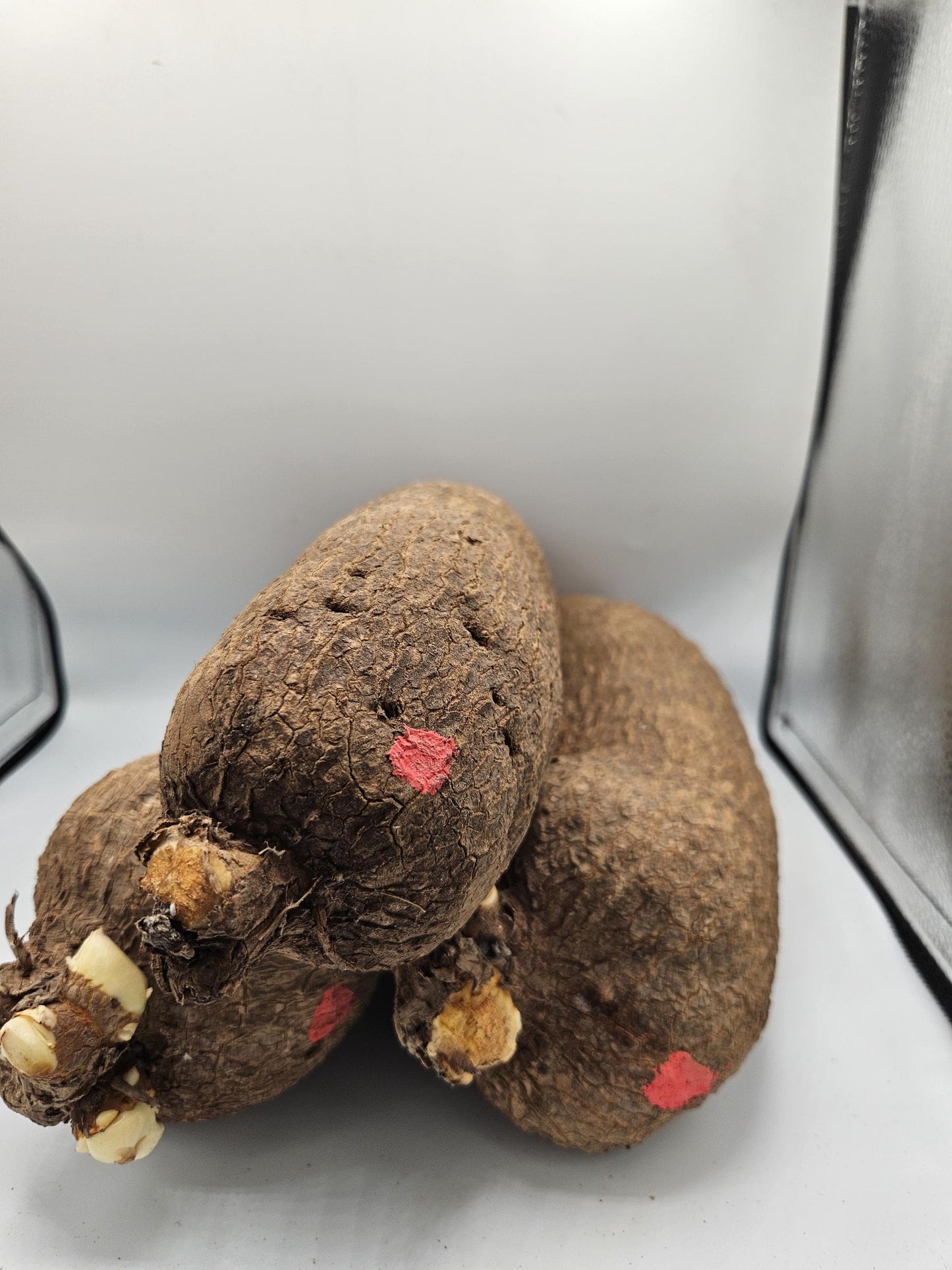 Yam (1 tuber)