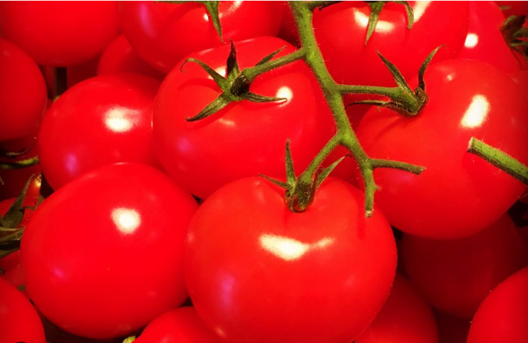 Fresh Tomato 5lB