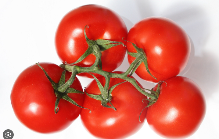 Fresh Tomato 5lB