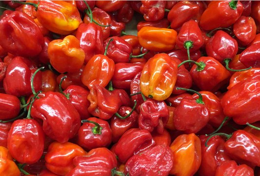 Red Habanero Pepper (1Lb)