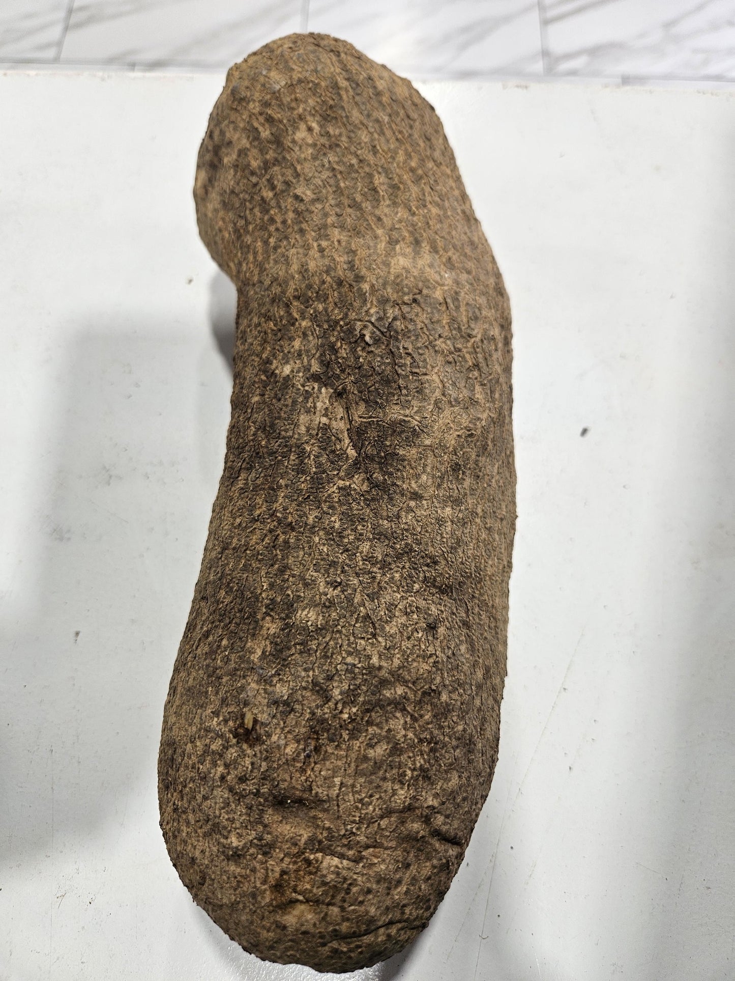 Yam (1 tuber)
