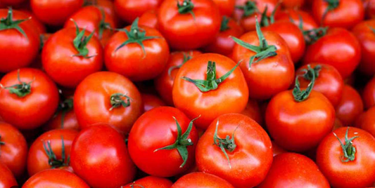 Fresh Tomato 5lB